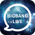bigbang ㅡ random video chat icône