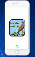 اقوال مؤثرة تبهر العقول بدون نت 2019 ポスター