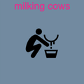 Milking Cows