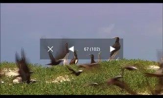 Auto Camera Shot capture d'écran 6