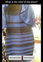 What is the color of the Dress Affiche
