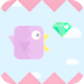 Dashy Bird - Casual