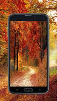 Nature Images-Green Wallpaper & Nature Backgrounds Affiche