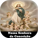 Nossa Senhora da Conceição APK