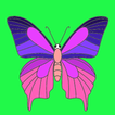 Simple Coloring Book