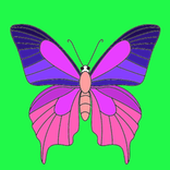 Simple Coloring Book