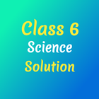 Class 6 Science Solution icône