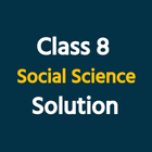 Class 8 Social Science icône