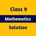 ikon Class 9 Math Solution