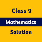 Class 9 Math Solution icône