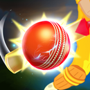 City Cricket Game 2021 APK