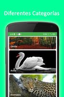 Fondos Pantalla de Naturaleza скриншот 3
