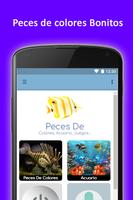 Peces De Colores Del Acuario постер