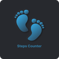 Pedometer