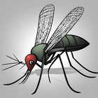 Anti Mosquito ícone