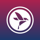 Sparrow APK