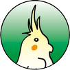 Cockatiel Guide APK