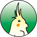 Cockatiel Guide