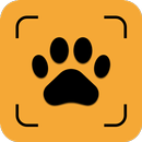 شناسایی نژاد سگ و گربه با عکس APK