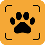 شناسایی نژاد سگ و گربه با عکس aplikacja