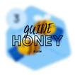 Honey GAIN Guide Earn Money