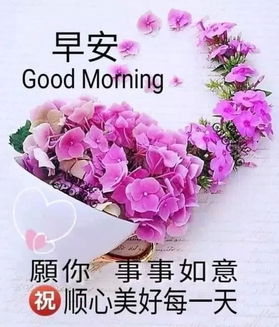 57+ 图片 早晨 圖案 新的 22 早上好中国图片good morning 2022安卓版應用APK下載