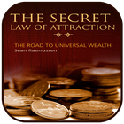 The secret law of attraction-icoon