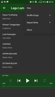 Lagu Lampung MP3 Offline ภาพหน้าจอ 3