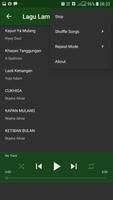 Lagu Lampung MP3 Offline screenshot 3
