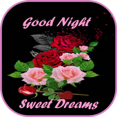 Good Night Flowers Gif 2019 For Android Apk Download