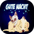 Gute Nacht Bilder