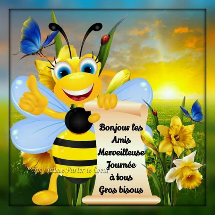 Bonjour Et Bonsoir Images For Android Apk Download Bonjour Et Bonsoir Images For Android Apk Download