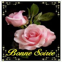 Bonjour Et Bonsoir Images स्क्रीनशॉट 1