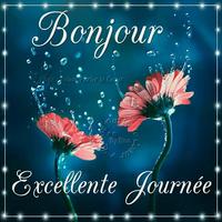 Bonjour Et Bonsoir Images 스크린샷 2