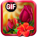 1000 + Elegant Roses And Flowers GIF APK