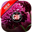 Flowers Images Gif APK