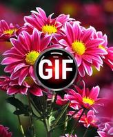 Flowers Images Gif ポスター