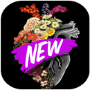 Roses And Flowers GIF APK