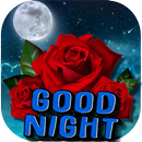 Good Night For Lover APK