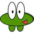 Save Froggy