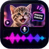 The voicer choicer mobile APK