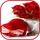 APK Fiori di San Valentino 2024