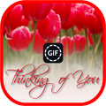 Thinking Of You : Quotes and I
