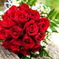 Lovely Flowers Images capture d'écran 1