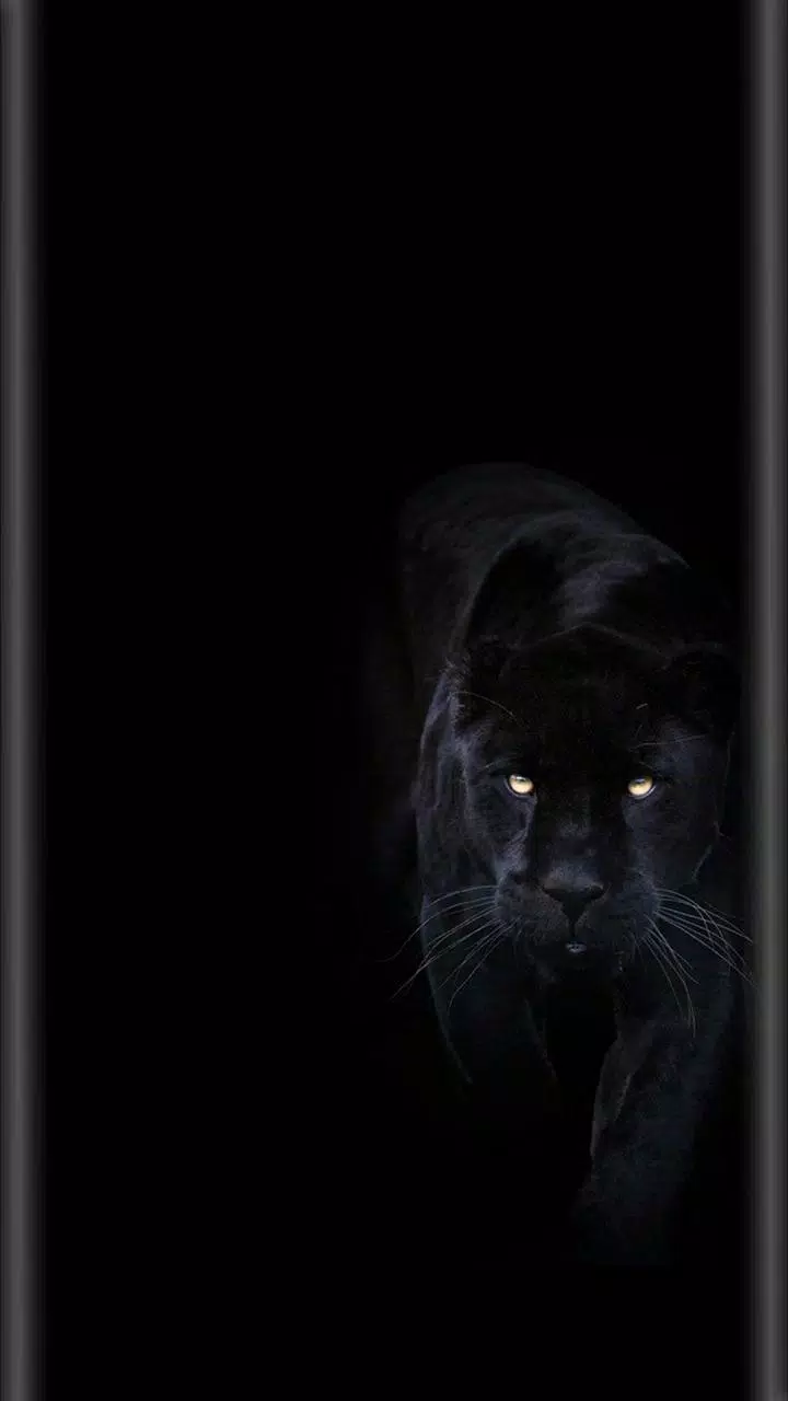 Tải xuống APK Border Light Wallpaper cho Android