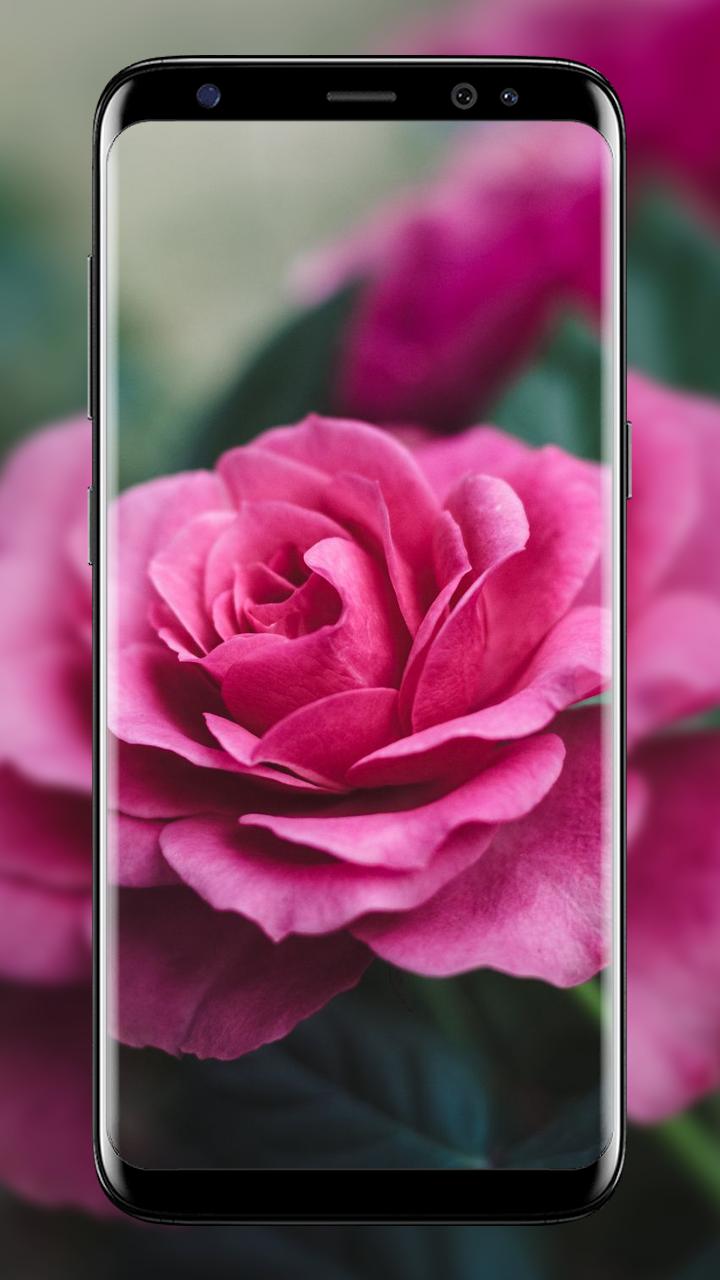 صور متحركة للورود تحت المطر For Android Apk Download