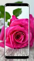 rose live wallpaper syot layar 1