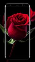 rose live wallpaper syot layar 3