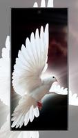 Pigeon wallpaper screenshot 3