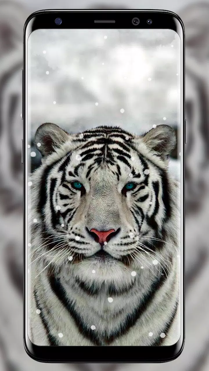 下载雪虎动态壁纸的安卓版本